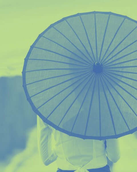 gestione-del-rischio gestione-del-rischio